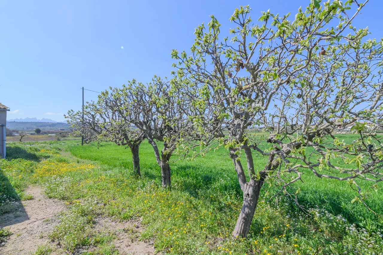 Casa con terreno en Viladordis (Manresa), Viladordis, Manresa — Fruiters