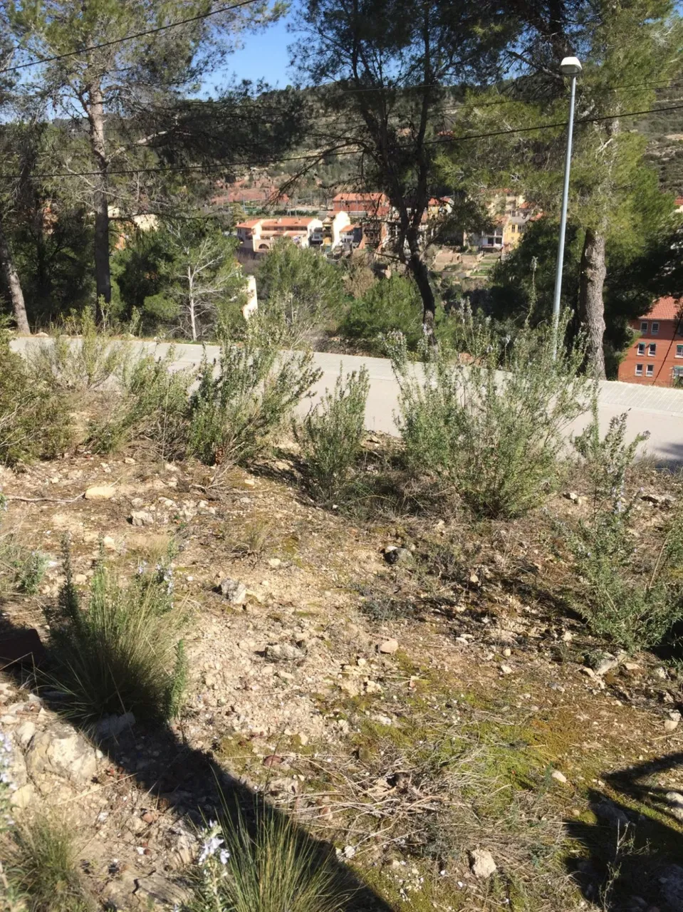 Parcel·la urbanitzable a Monistrol, Monistrol, Monistrol de Montserrat — fotografia 5